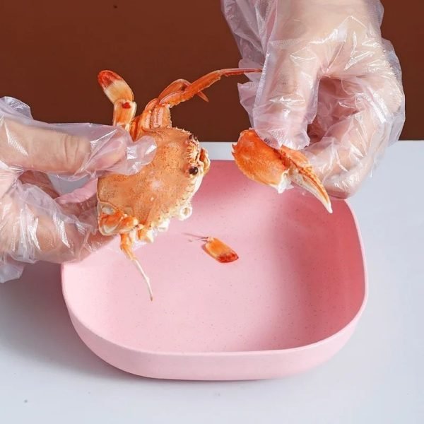 Food Grade Plastic Household Dining Plates | 10 pcs Multi - function Elliptical Spit Bone Plate Set - Flashkart Pakistan